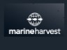 Marine Harvest Sterk BV